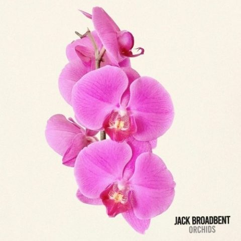 Jack Broadbent - Orchids (2026)