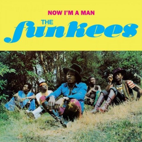 The Funkees - Now I'm A Man (1976/2016)