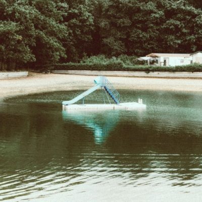 The Bird Experience - The Bird Experience (2026)